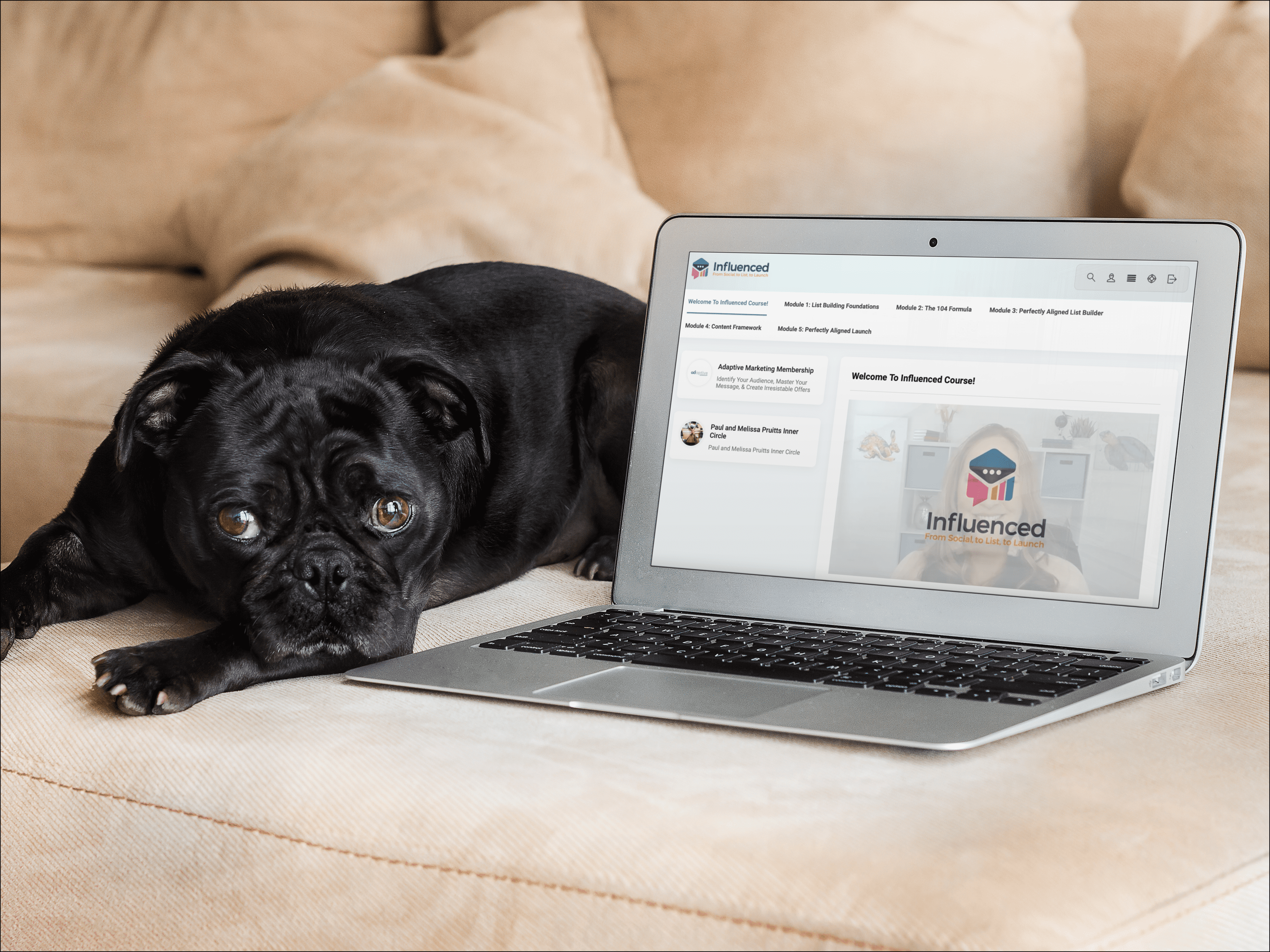 cute-dog-and-macbook-over-couch